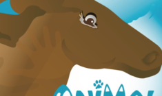 ANIMAL ALLIES CHALLENGE DOC IMAGE
