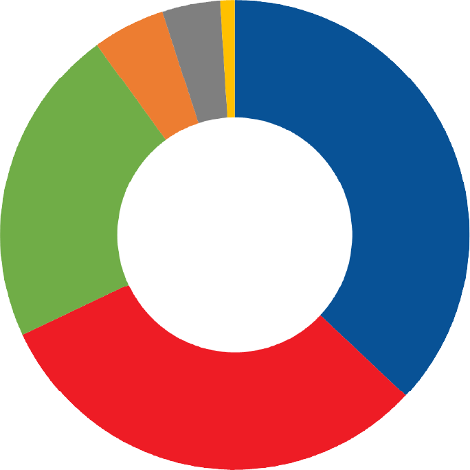 pie chart illustrating racial demographic statistics